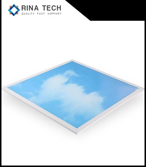 LED Sky Panel Light
